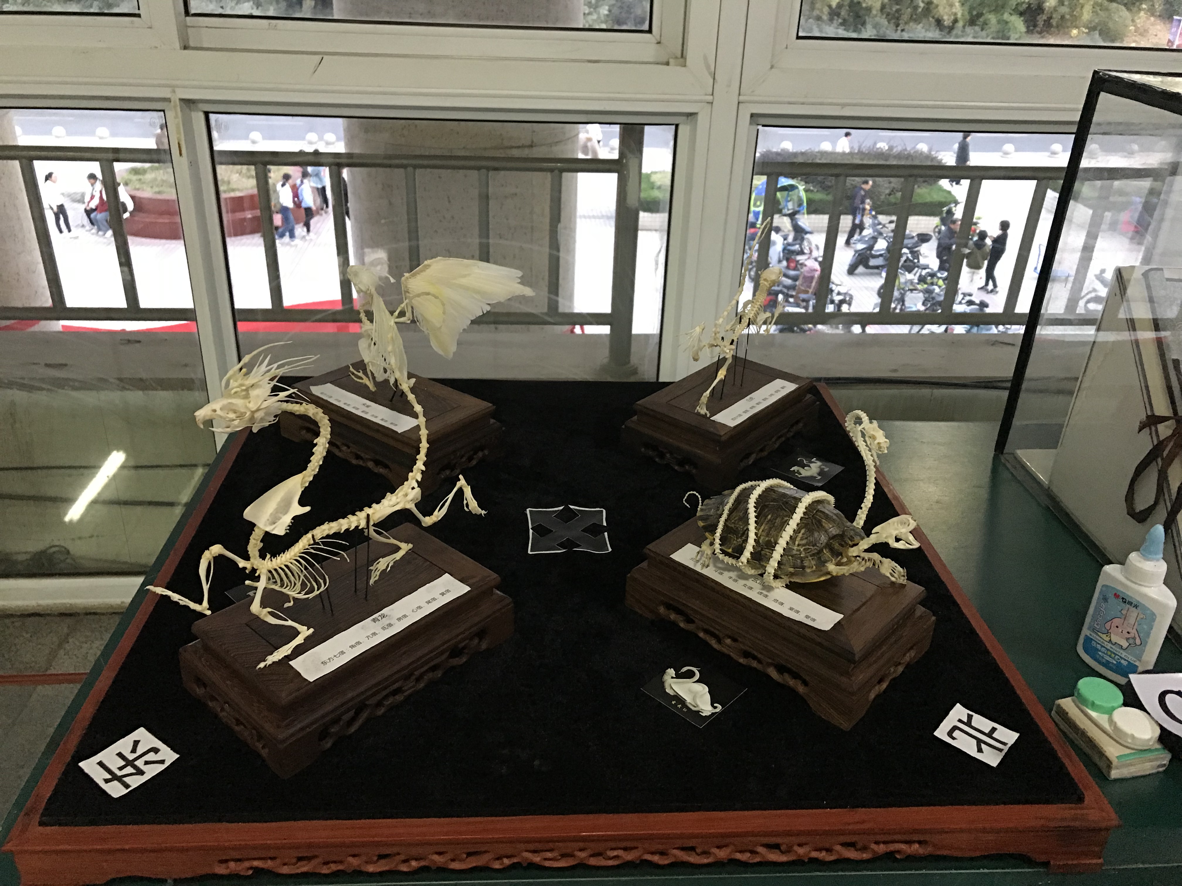 生物7.jpg 生物7.jpg