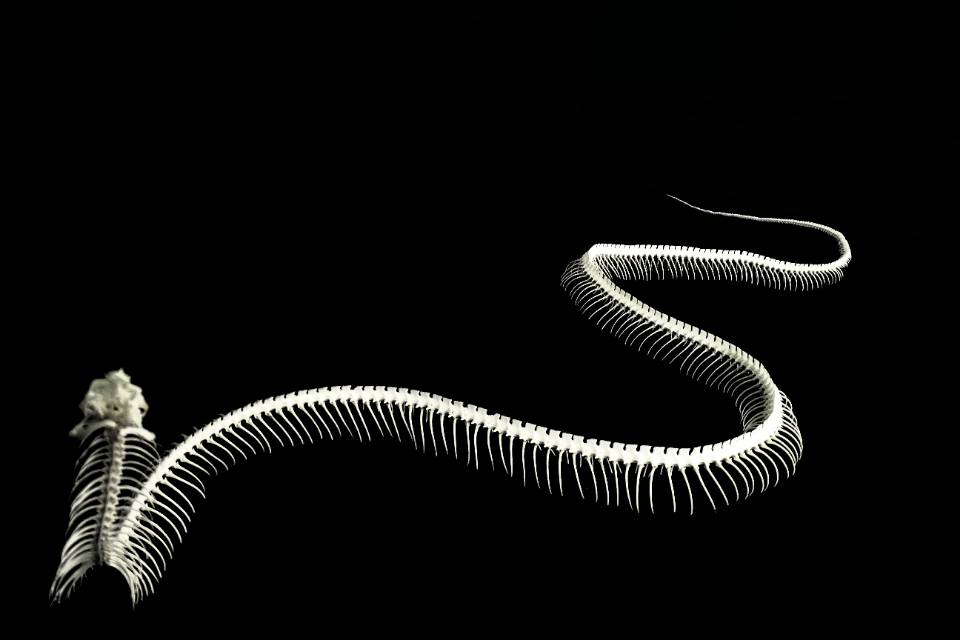 生物5.jpg 生物5.jpg