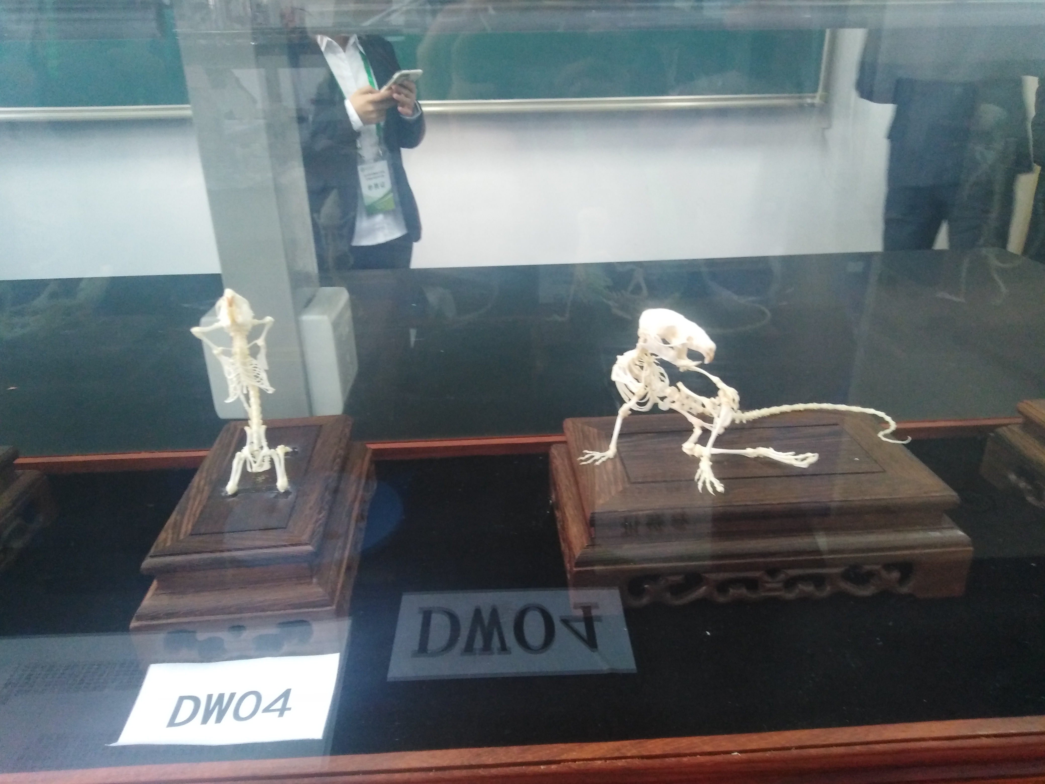 生物8.jpg 生物8.jpg