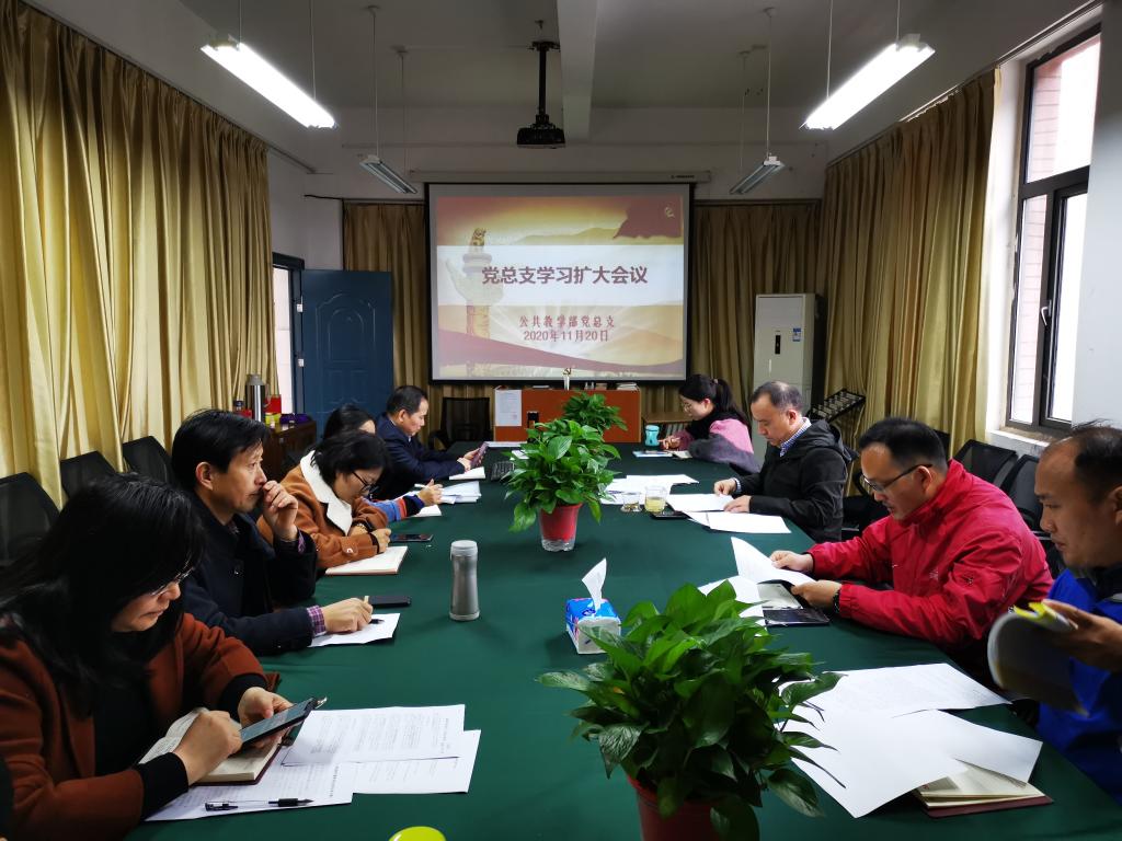 党总支学习扩大会议2020.11.20.jpg 党总支学习扩大会议2020.11.20.jpg